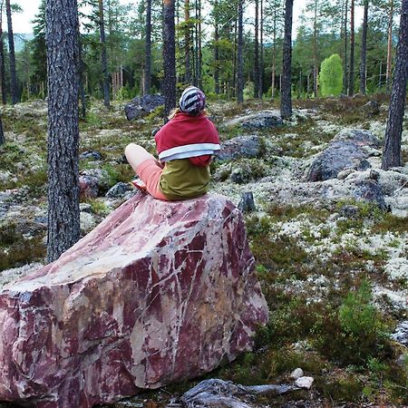 12 - Fulufjellets Nasjonalparker - Natur-, Dyre- Og Fugleopplevelser Ljordal Экстерьер фото