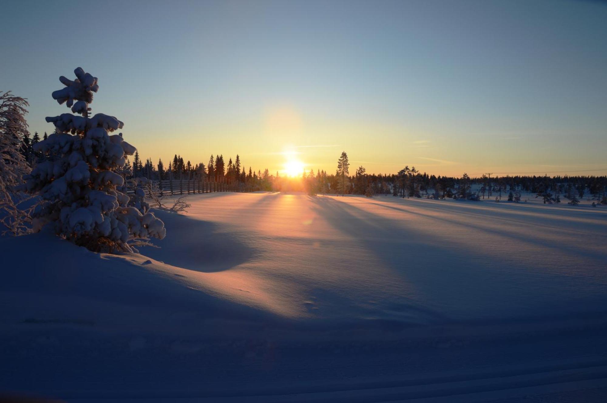 12 - Fulufjellets Nasjonalparker - Natur-, Dyre- Og Fugleopplevelser Ljordal Экстерьер фото