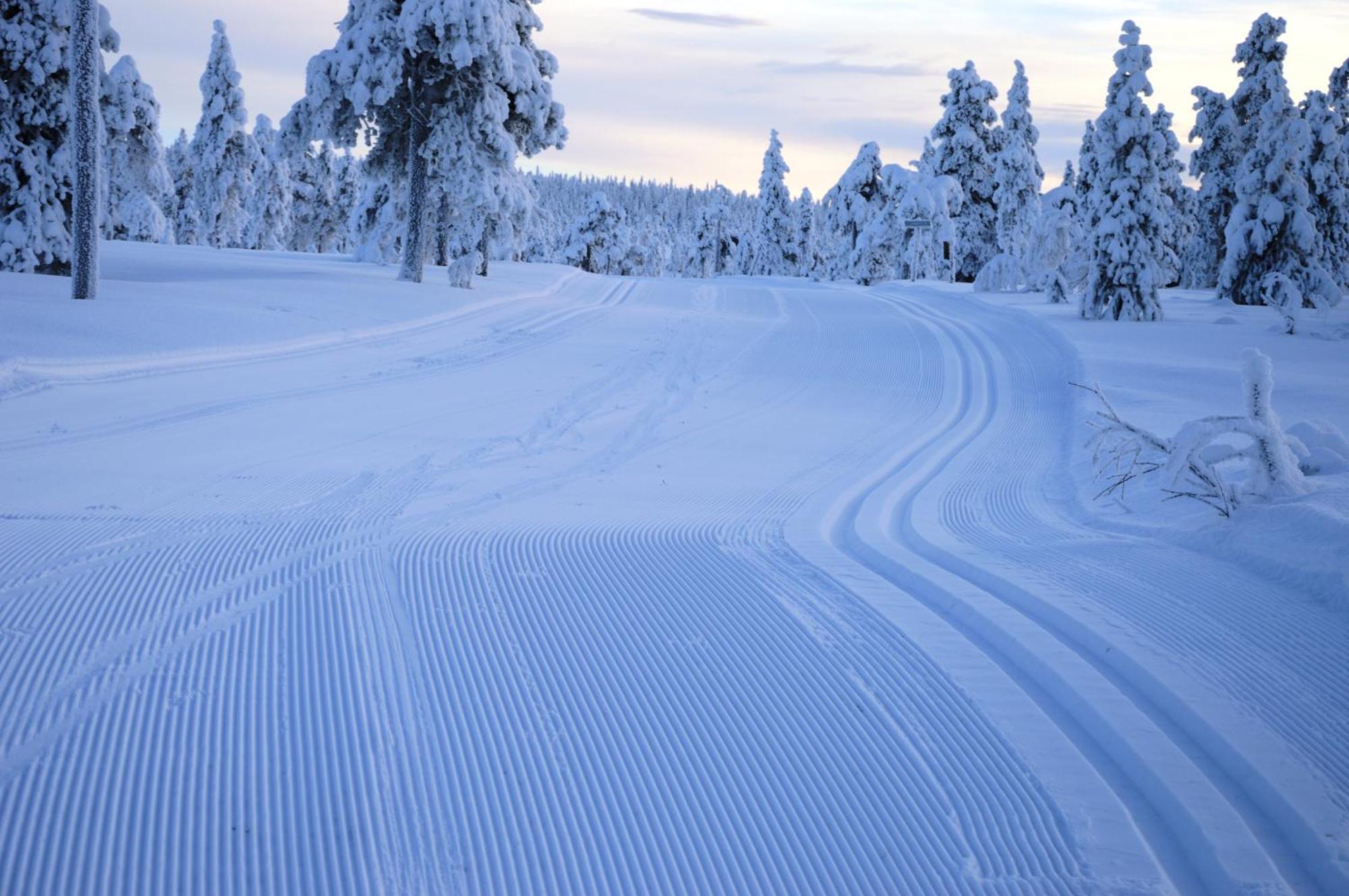 12 - Fulufjellets Nasjonalparker - Natur-, Dyre- Og Fugleopplevelser Ljordal Экстерьер фото