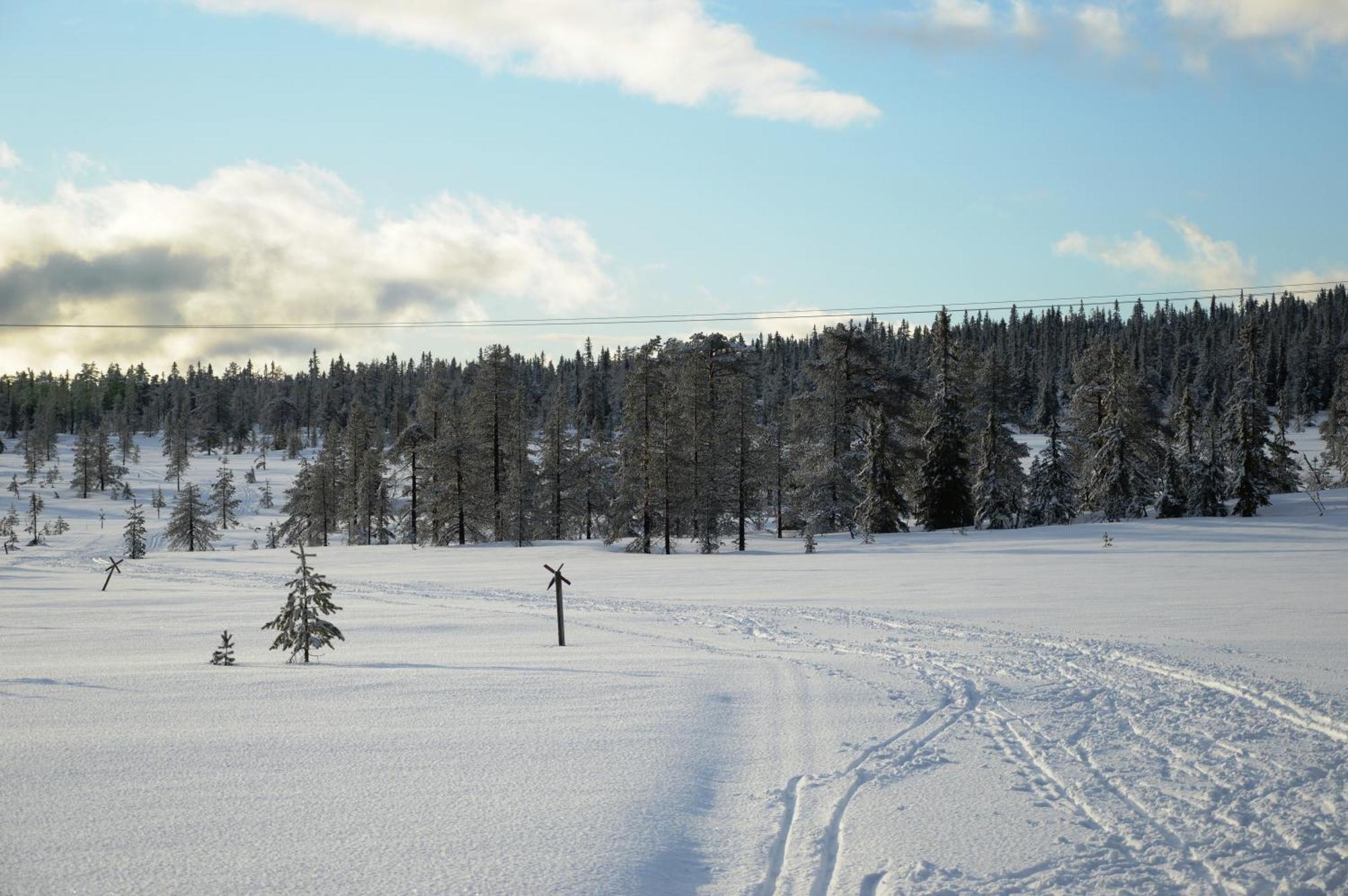 12 - Fulufjellets Nasjonalparker - Natur-, Dyre- Og Fugleopplevelser Ljordal Экстерьер фото