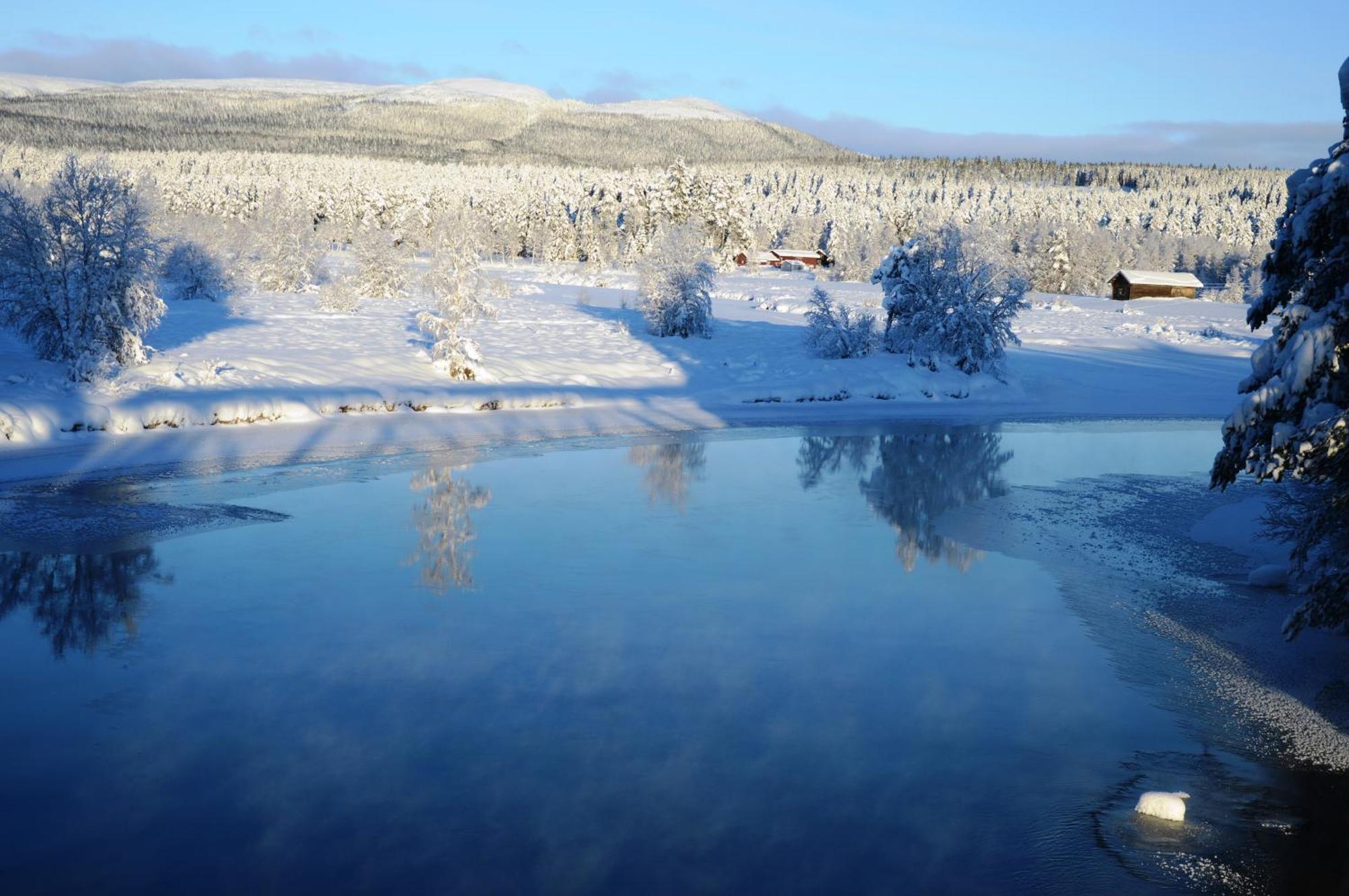 12 - Fulufjellets Nasjonalparker - Natur-, Dyre- Og Fugleopplevelser Ljordal Экстерьер фото