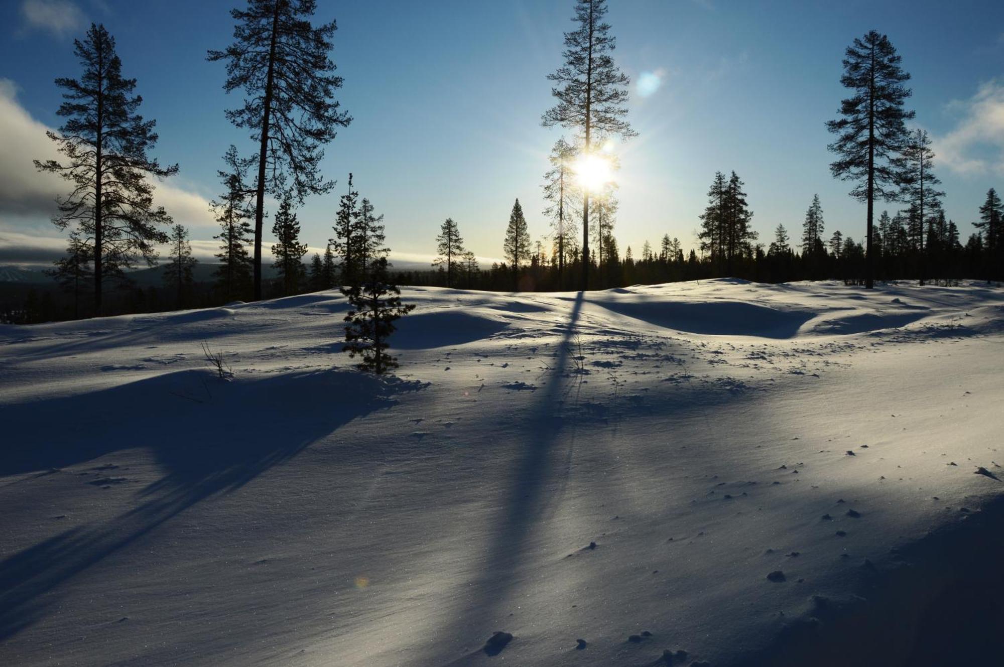 12 - Fulufjellets Nasjonalparker - Natur-, Dyre- Og Fugleopplevelser Ljordal Экстерьер фото