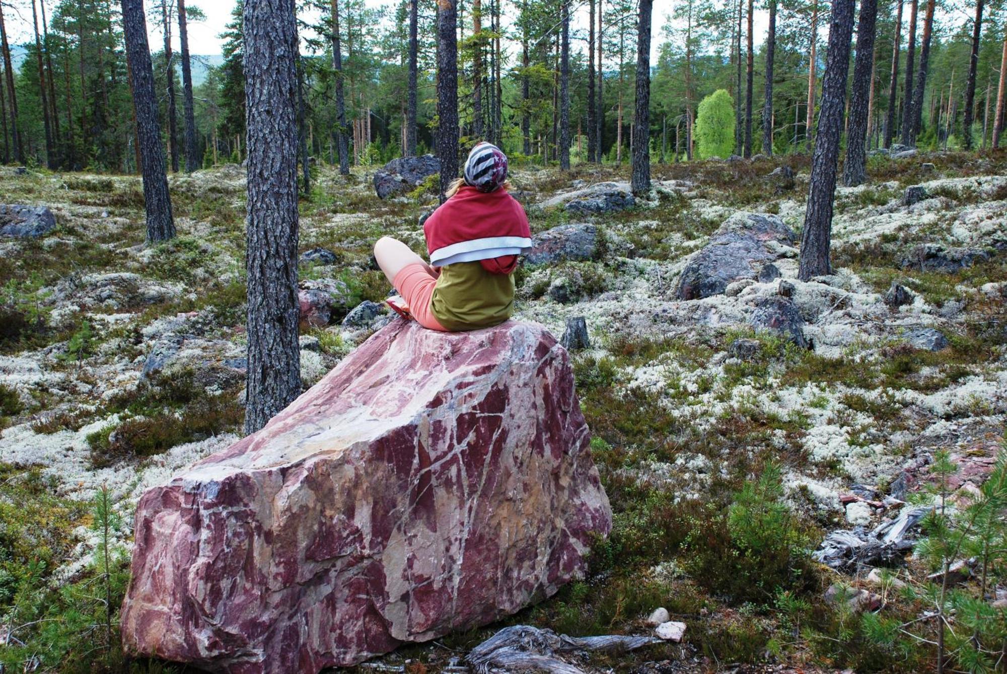 12 - Fulufjellets Nasjonalparker - Natur-, Dyre- Og Fugleopplevelser Ljordal Экстерьер фото