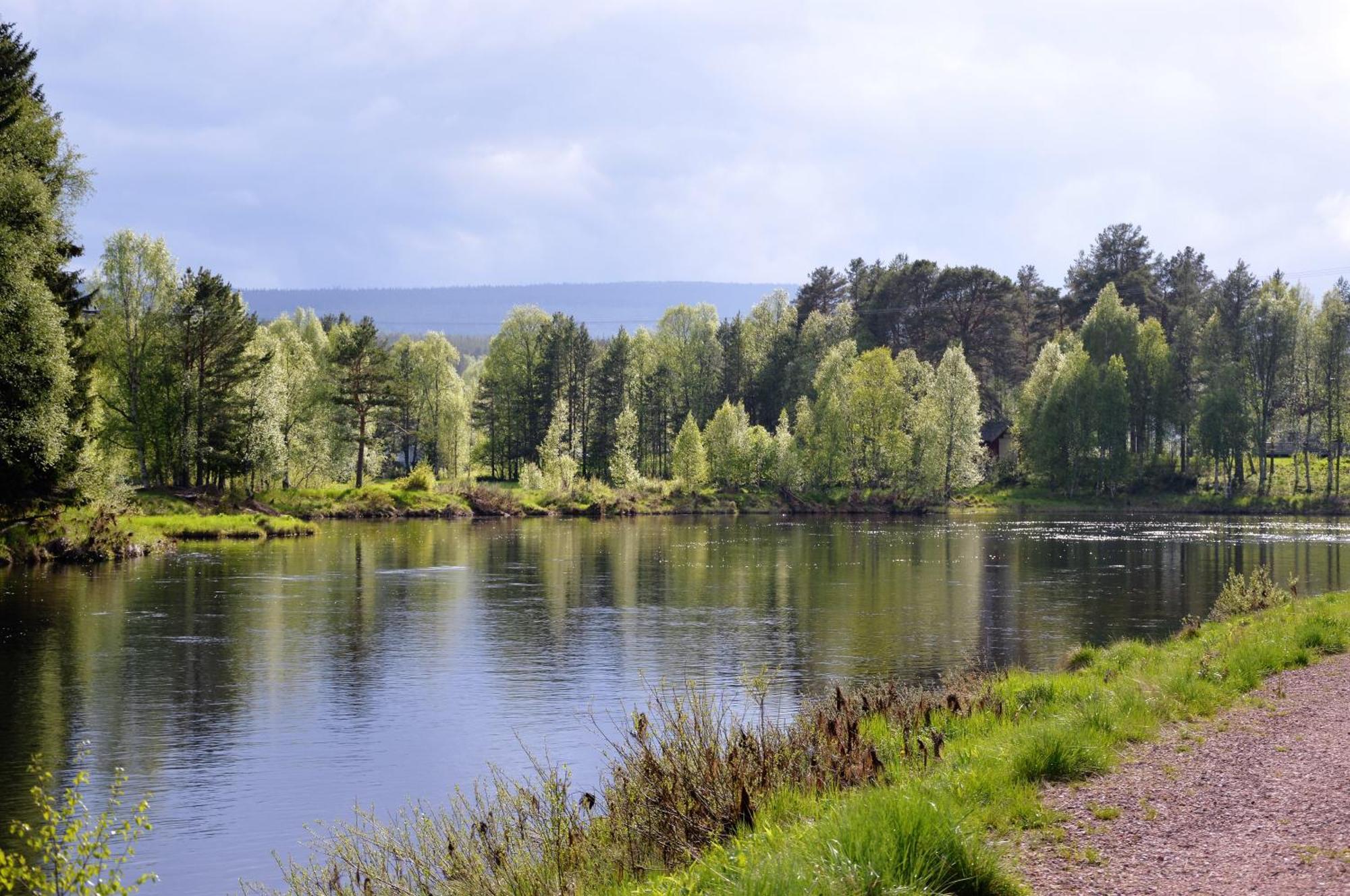 12 - Fulufjellets Nasjonalparker - Natur-, Dyre- Og Fugleopplevelser Ljordal Экстерьер фото