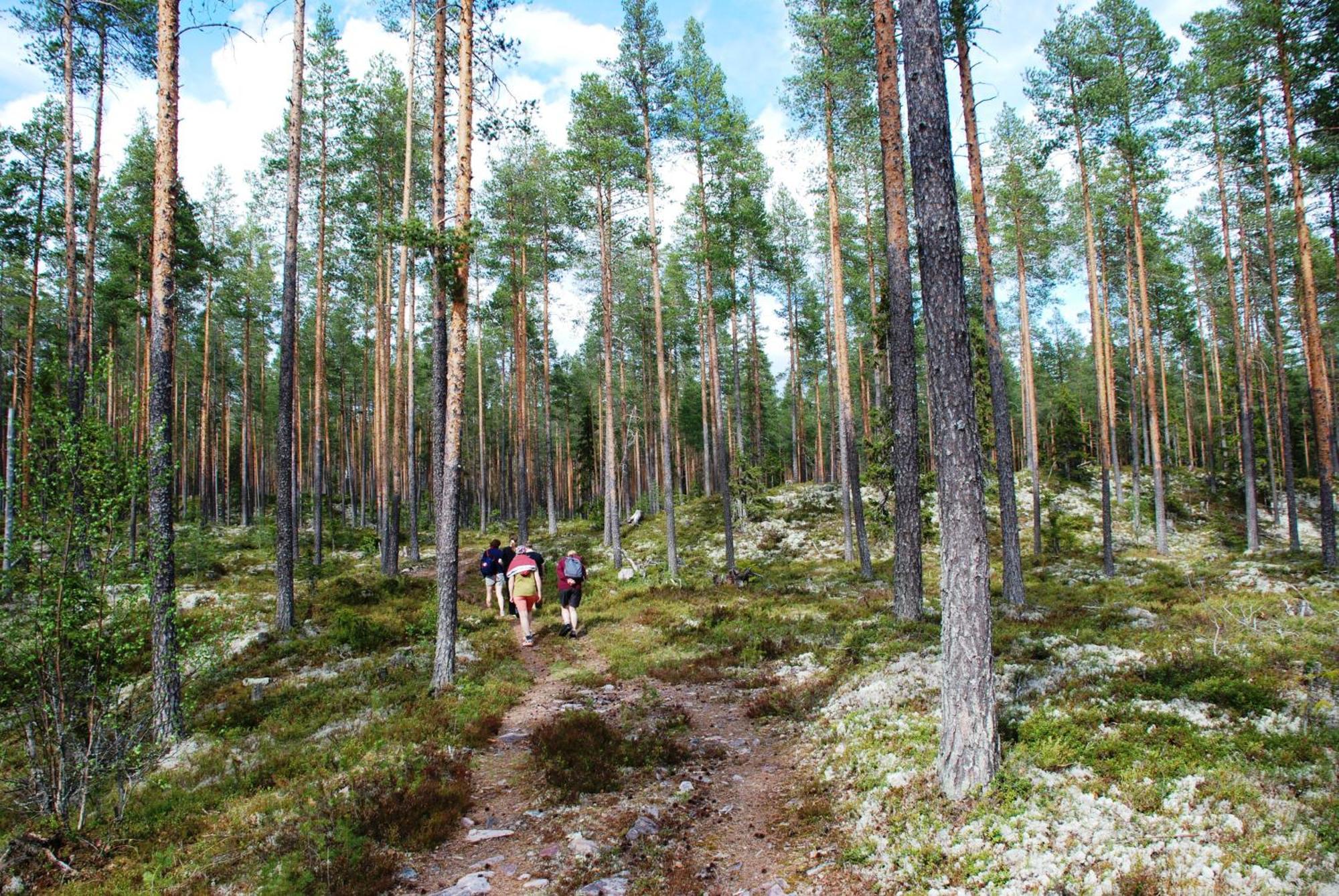 12 - Fulufjellets Nasjonalparker - Natur-, Dyre- Og Fugleopplevelser Ljordal Экстерьер фото
