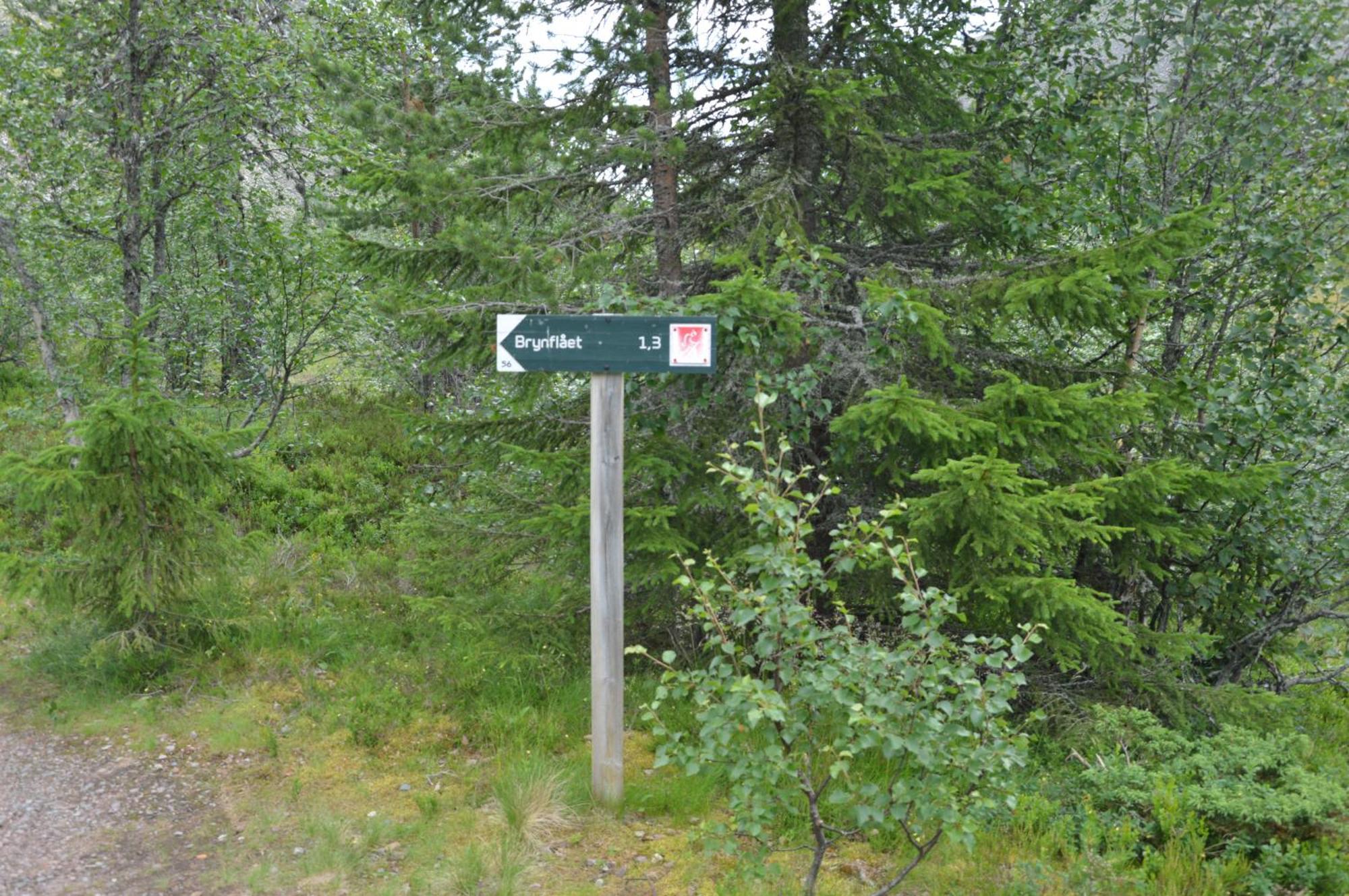 12 - Fulufjellets Nasjonalparker - Natur-, Dyre- Og Fugleopplevelser Ljordal Экстерьер фото
