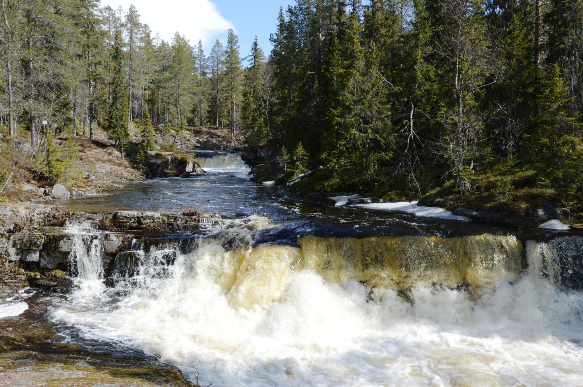 12 - Fulufjellets Nasjonalparker - Natur-, Dyre- Og Fugleopplevelser Ljordal Экстерьер фото