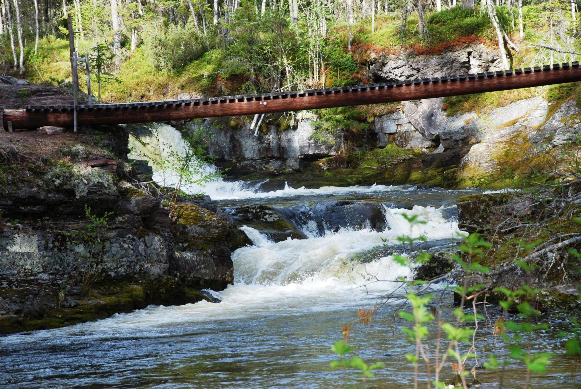 12 - Fulufjellets Nasjonalparker - Natur-, Dyre- Og Fugleopplevelser Ljordal Экстерьер фото