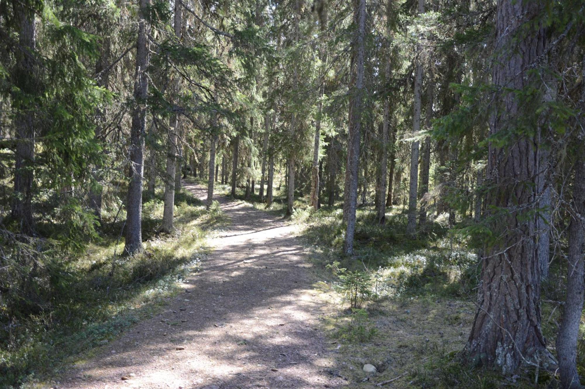 12 - Fulufjellets Nasjonalparker - Natur-, Dyre- Og Fugleopplevelser Ljordal Экстерьер фото