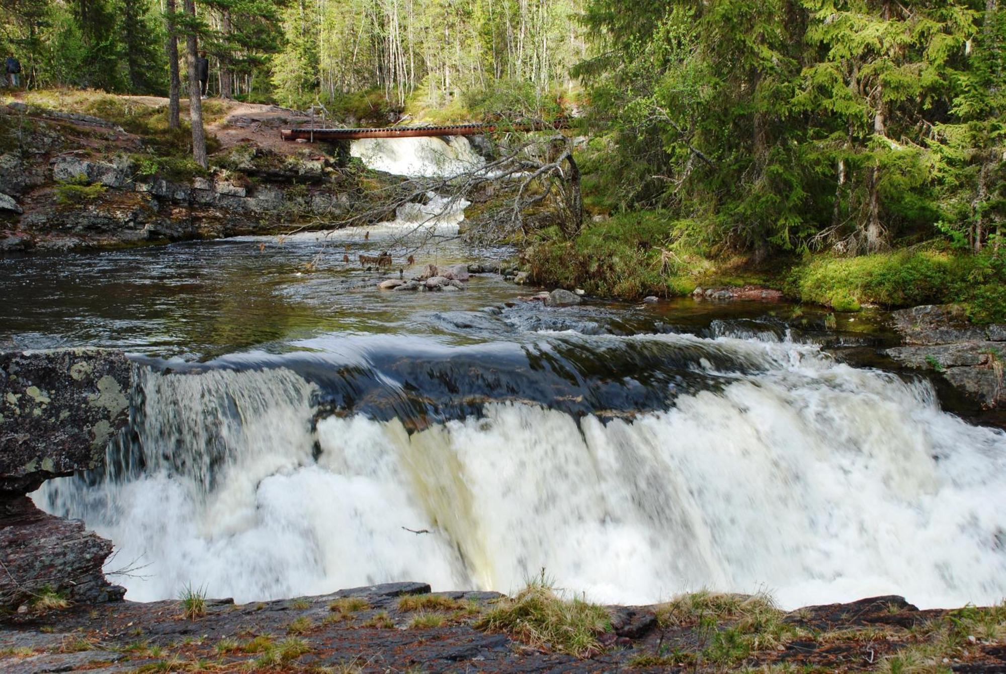 12 - Fulufjellets Nasjonalparker - Natur-, Dyre- Og Fugleopplevelser Ljordal Экстерьер фото