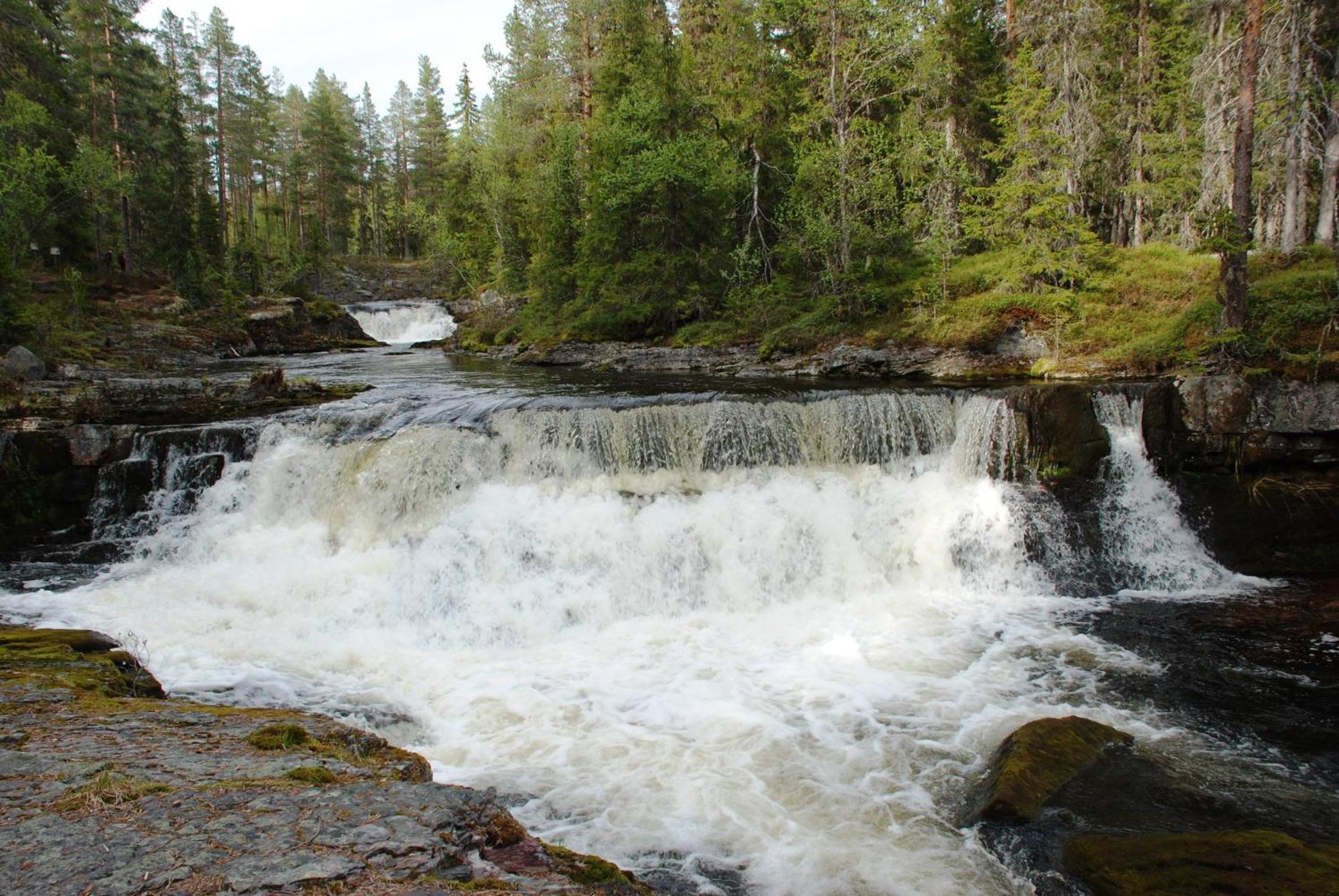 12 - Fulufjellets Nasjonalparker - Natur-, Dyre- Og Fugleopplevelser Ljordal Экстерьер фото