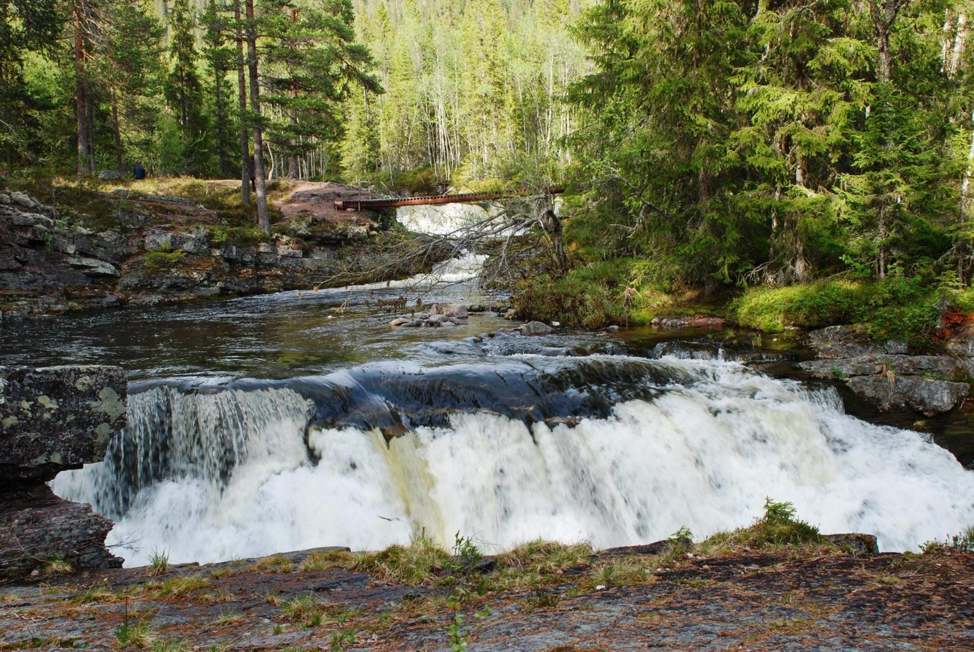 12 - Fulufjellets Nasjonalparker - Natur-, Dyre- Og Fugleopplevelser Ljordal Экстерьер фото