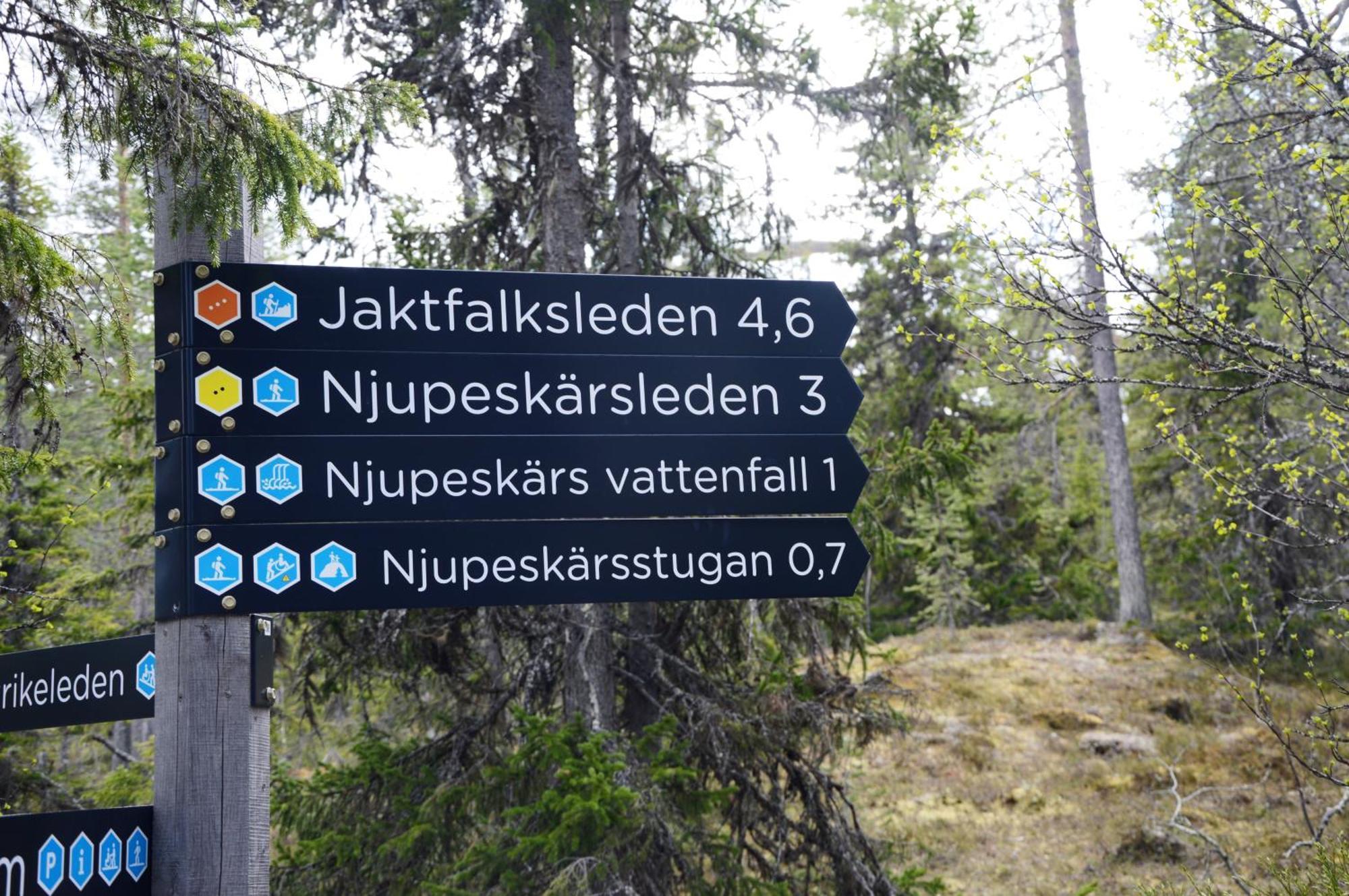 12 - Fulufjellets Nasjonalparker - Natur-, Dyre- Og Fugleopplevelser Ljordal Экстерьер фото