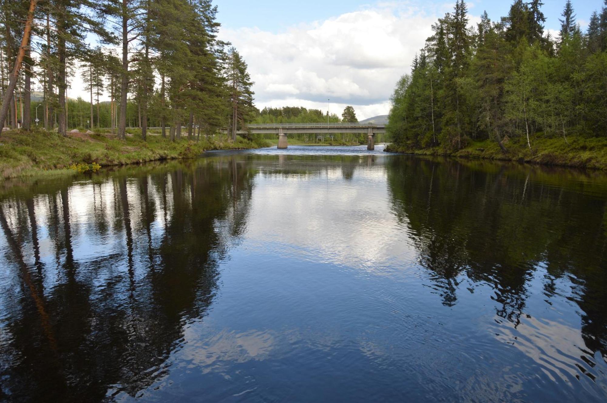 12 - Fulufjellets Nasjonalparker - Natur-, Dyre- Og Fugleopplevelser Ljordal Экстерьер фото