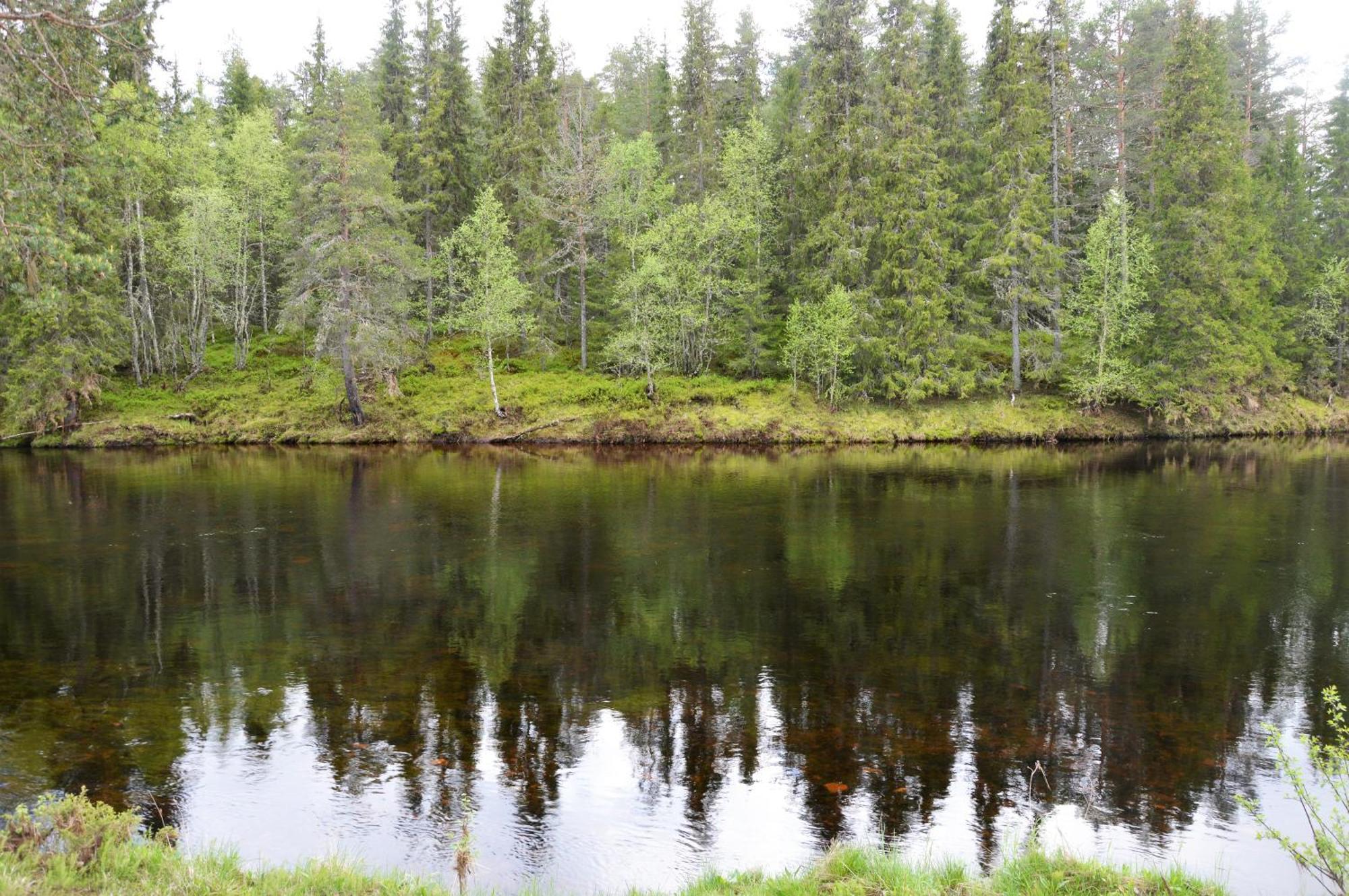 12 - Fulufjellets Nasjonalparker - Natur-, Dyre- Og Fugleopplevelser Ljordal Экстерьер фото